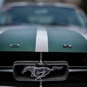 Mustang Tour Auto-65